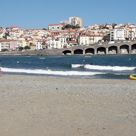 Banyuls La Grande Bleue : Studio T1 外观 照片