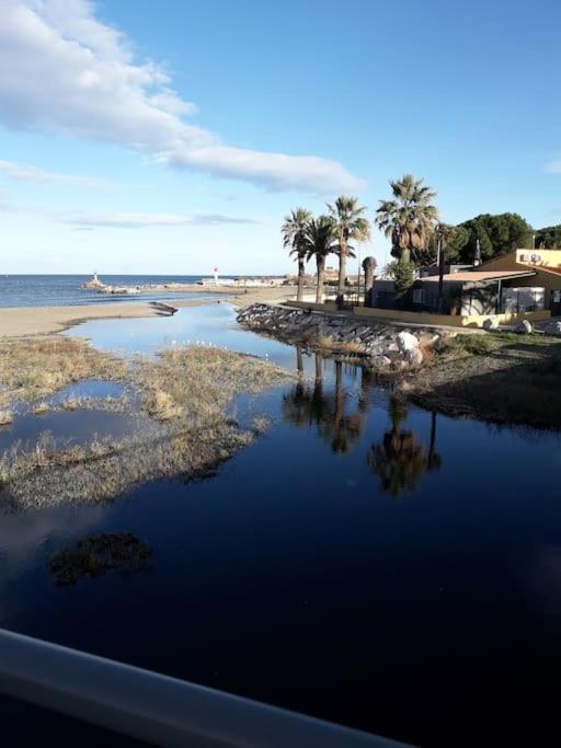 Banyuls La Grande Bleue : Studio T1 外观 照片