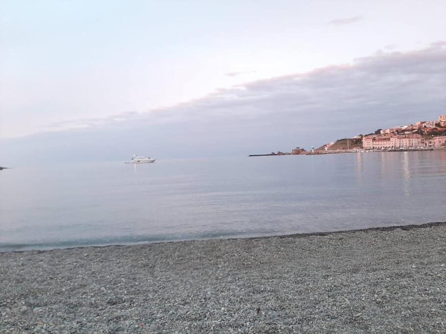 Banyuls La Grande Bleue : Studio T1 外观 照片
