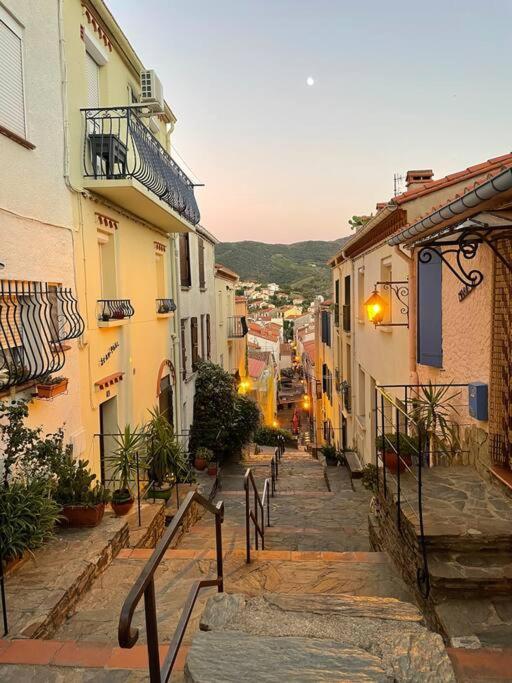Banyuls La Grande Bleue : Studio T1 外观 照片
